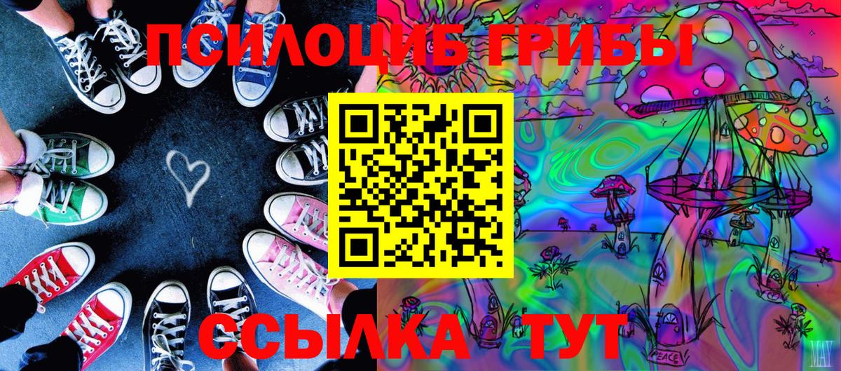 Псилоцибиновые грибы ЛСД  Вход с VPN  Москва  продажа наркотиков  Псилоцибиновые грибы мухоморы 